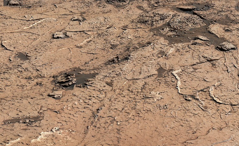 Gros plan de fissures de boue sur Mars
